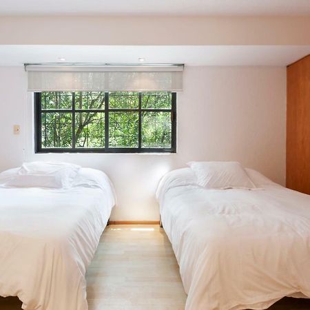 Lovely Apartment Ahuehuetes Мексико Сити Екстериор снимка