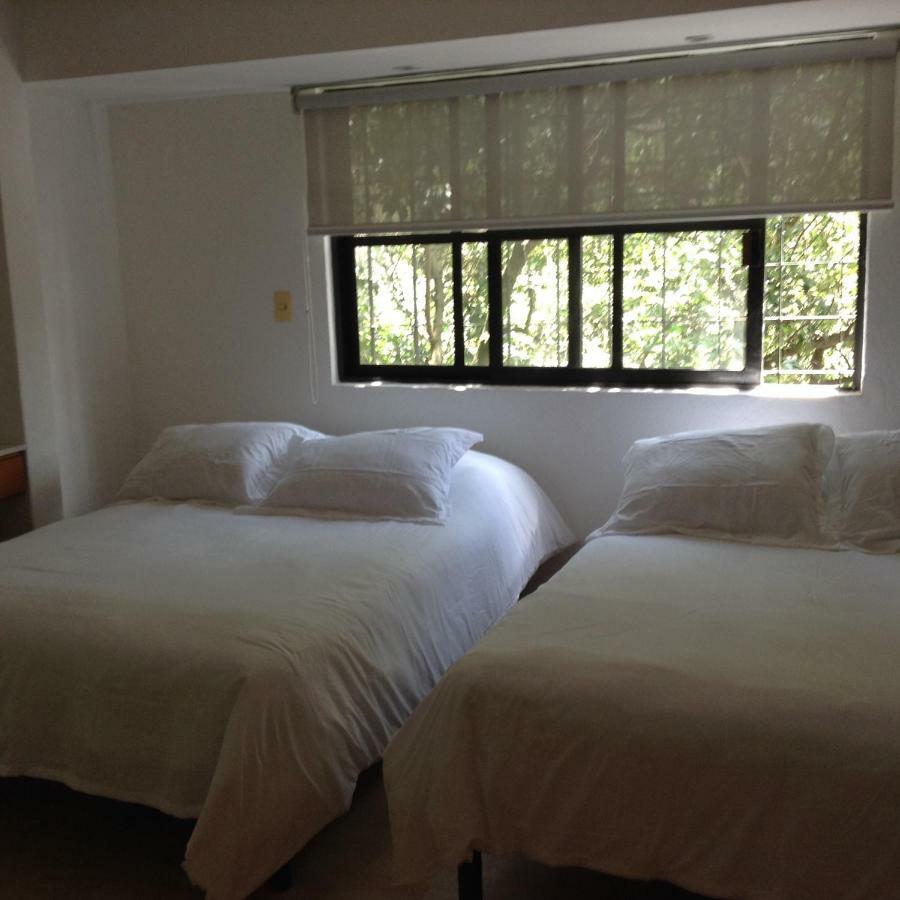 Lovely Apartment Ahuehuetes Мексико Сити Екстериор снимка